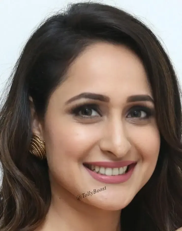 Actress Pragya Jaiswal Without Makeup Real Face Closeup